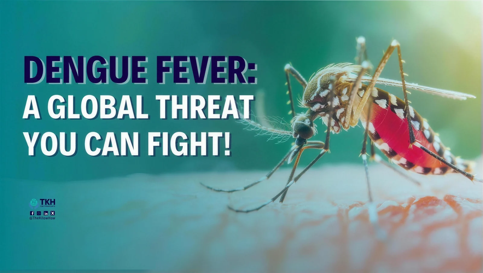 Dengue fever: A global threat you can fight!
